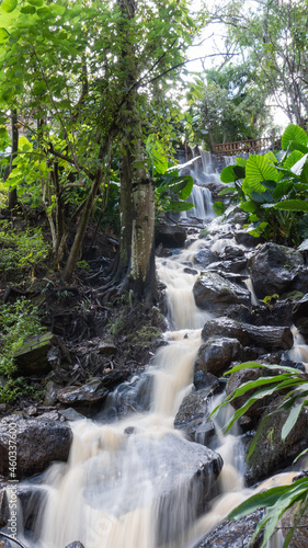 beautiful waterfall in green forest in jungle at phu tub berk mountain   Mazamitla  Jalisco  Mexico
