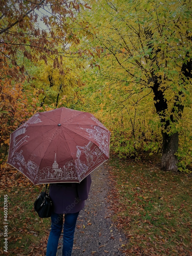 person with umbrella walking in the park