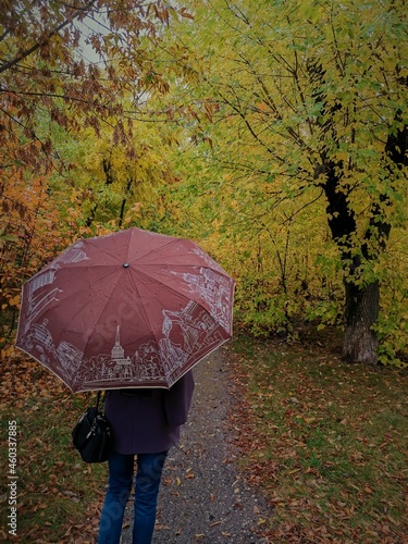 person with umbrella walking in the park