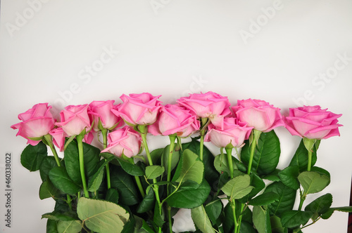 Bouquet of pink roses on white background copy space © Наталья Добровольска