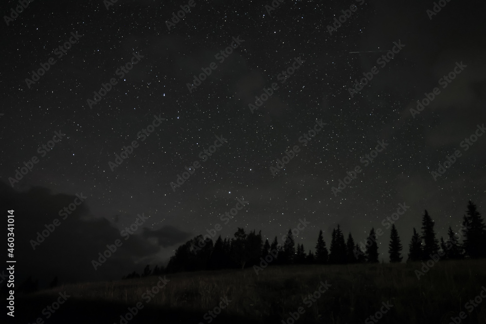 Fototapeta premium Picturesque view of forest and beautiful starry sky at night
