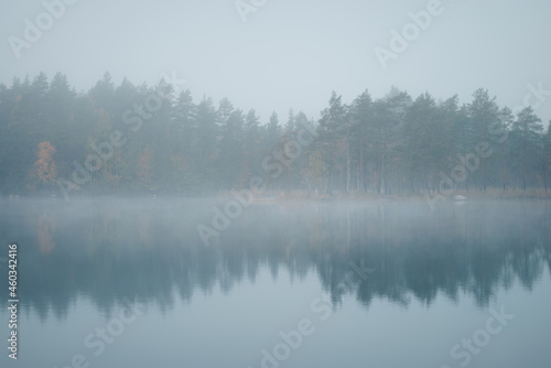 Clean picturesque forest lake on foggy autumn morning