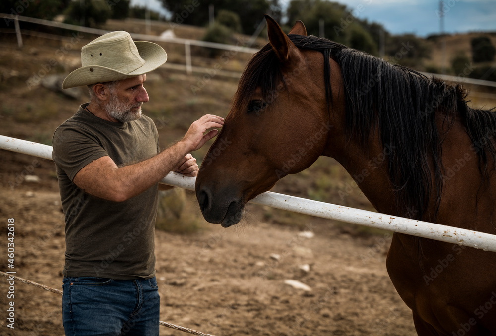 Adult man with cowboy hat with brown horse on field Adult man with cowboy hat with brown horse on field