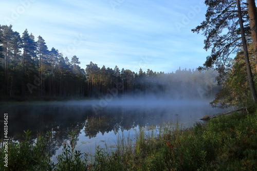 Misty lake at Tiveden National Park. Beautiful view, looks magic. Great nature during the month of September. Sweden, Scandinavia, Europe.