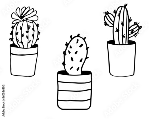 Houseplant in the pot in doodle style. Hand drawn potted plant for home. Hand drawn simple black outline vector illustration in cartoon doodle style, isolated. Home gardening