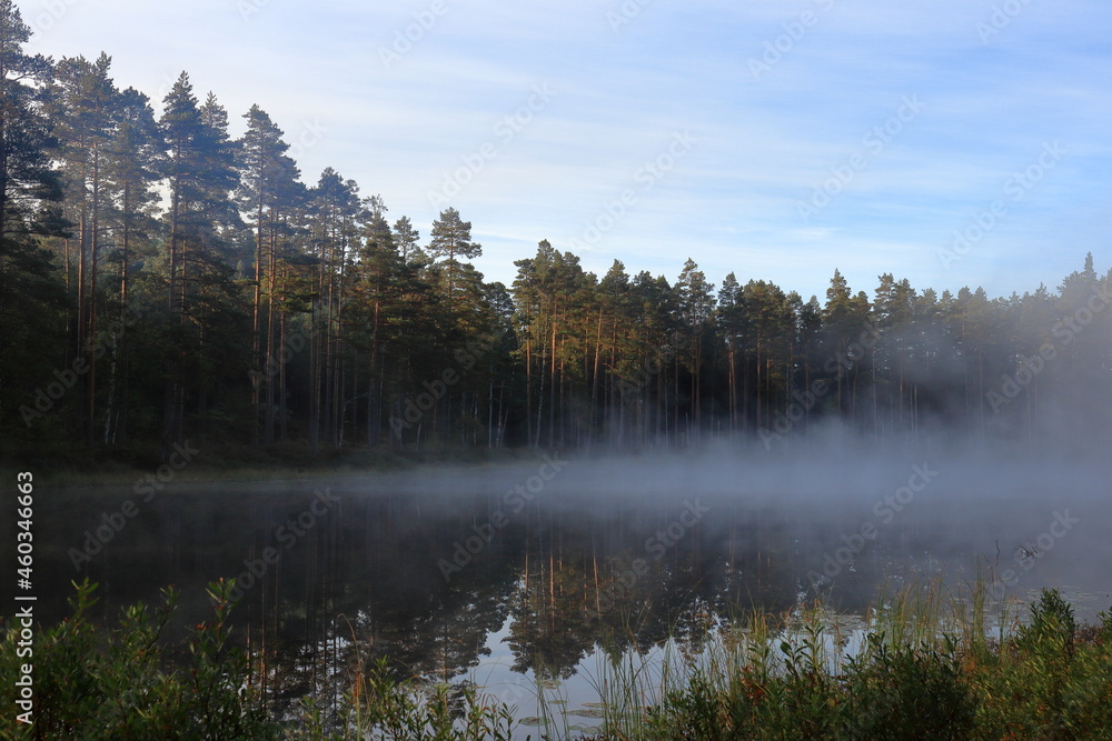Misty lake at Tiveden National Park. Beautiful view, looks magic. Great nature during the month of September. Sweden, Scandinavia, Europe. Misty lake at Tiveden National Park. Beautiful view, looks magic. Great nature during the month of September. Sweden, Scandinavia, Europe.