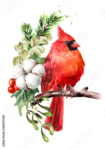 Canvas Print Red bird Cardinal  with Winter bouquet, Hand  drawn watercolor illustration, iso