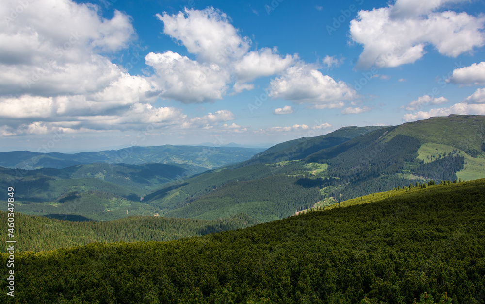 Obraz premium Carpathian mountains range, Calimani Romania Transylvania. Pines and cliffs.