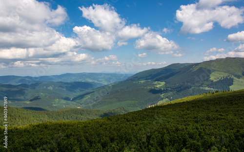 Carpathian mountains range  Calimani Romania Transylvania. Pines and cliffs.