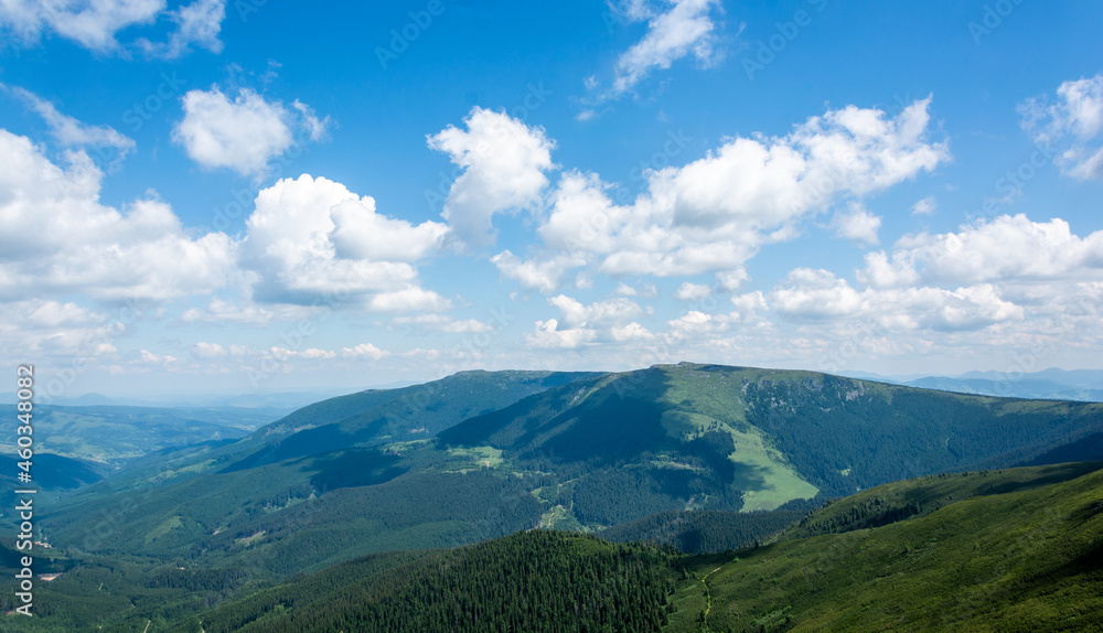 Fototapeta premium Carpathian mountains range, Calimani Romania Transylvania. Pines and cliffs.