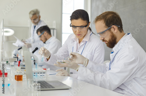 Team of focused scientists who work together to analyze samples while working in a modern research laboratory. Male and female scientists work with chemicals and study microorganisms.