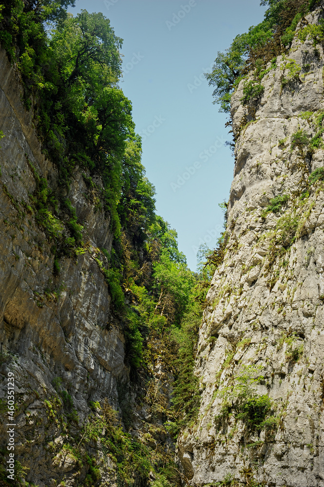 Gorge of mountains with trees growing on them. The mountains of Abkhazia are the countries of the soul.