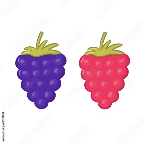 Colorful cartoon raspberry and blackberry isolated on white background. Healthy dessert. Vector illustration.
