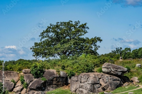 Witness Tree at Devils Den, Gettysburg National Military Park, Pennsylvania, USA