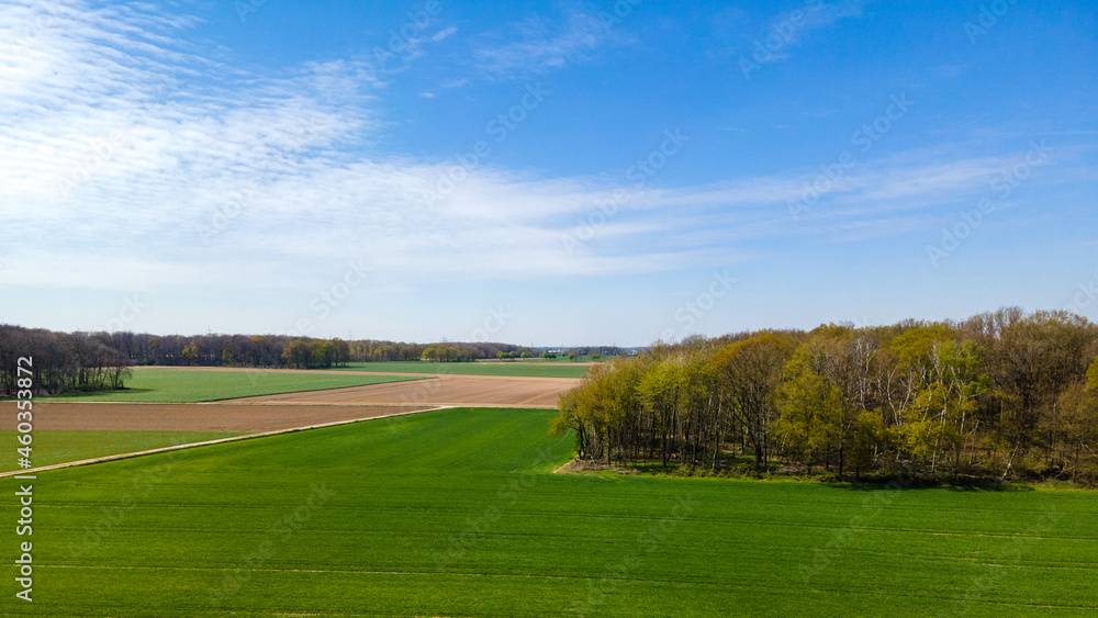 Aerial view of agricultural fields. Fields from above