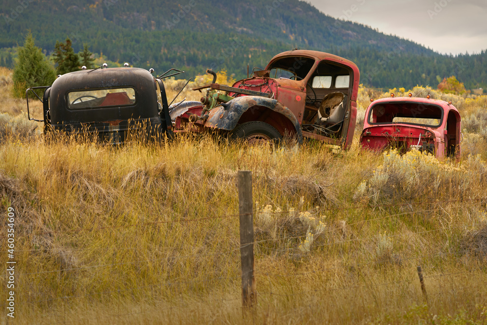 Ranchland Abandoned Trucks. Old abandoned trucks in the Pacific Northwest.
Ranchland Abandoned Trucks. Old abandoned trucks in the Pacific Northwest.