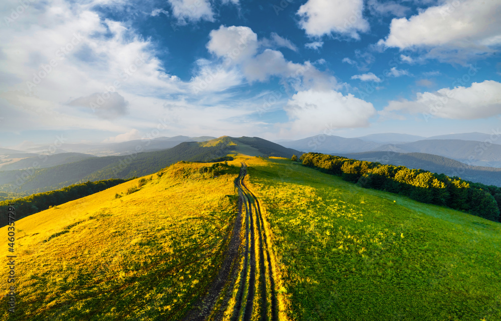 Amazing scene on summer mountains. Green grass, rural road and blue sky in fantastic morning sunlight. Carpathians, Europe. Landscape photography