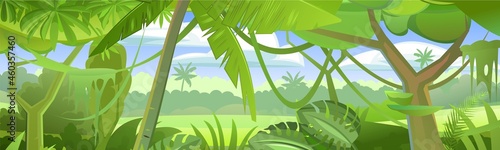 Rainforest Plants. Dense thickets. View from the forest. Southern Rural Scenery. Illustration in cartoon style flat design. Vector