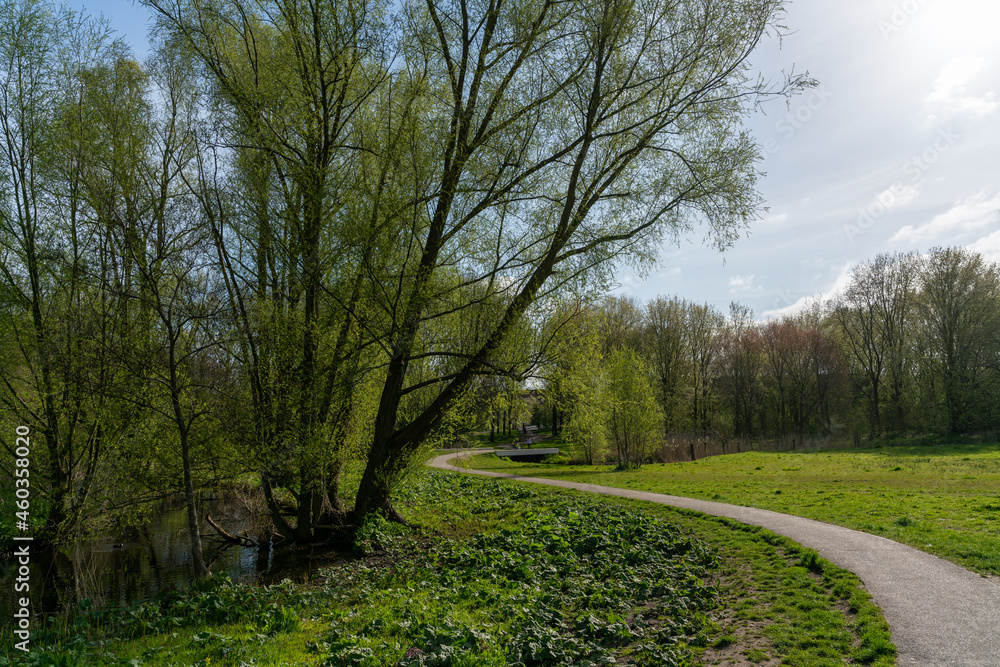 Obraz premium Trees and paths in Rembrandtpark in Amsterdam, a large park in the west of the city.