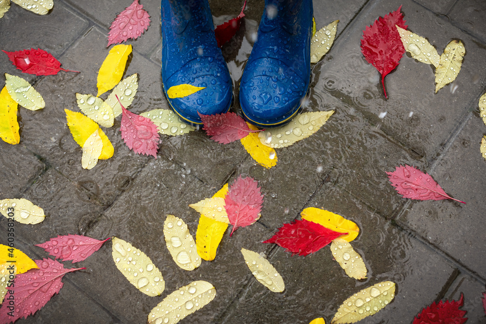 Feet in blue rubber boots standing in a wet concrete paving with autumn ...