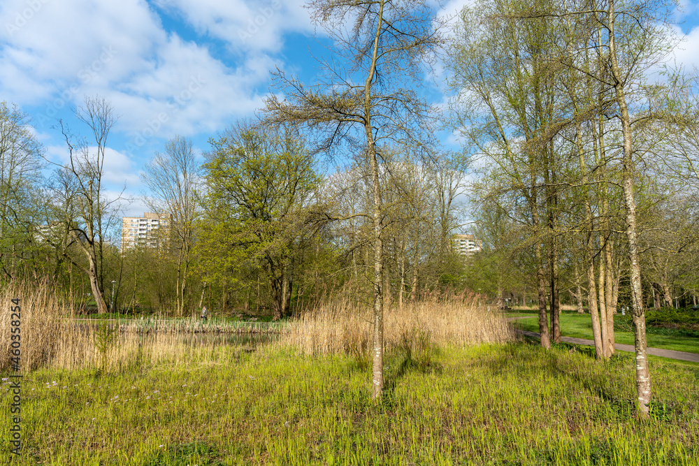 Trees and paths in Rembrandtpark in Amsterdam, a large park in the west of the city. Trees and paths in Rembrandtpark in Amsterdam, a large park in the west of the city.
