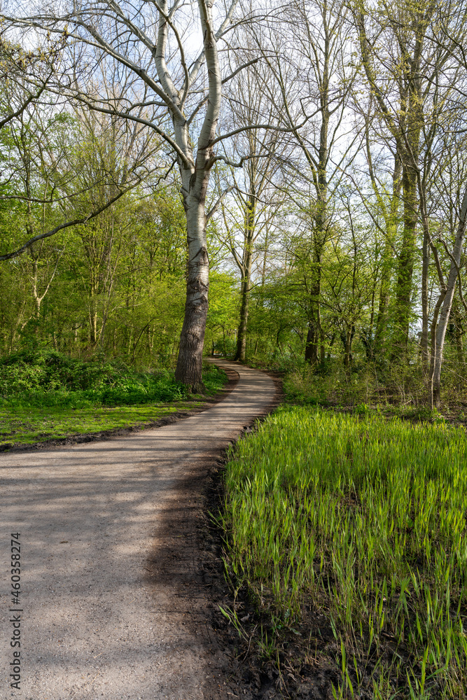 Trees and paths in Rembrandtpark in Amsterdam, a large park in the west of the city.