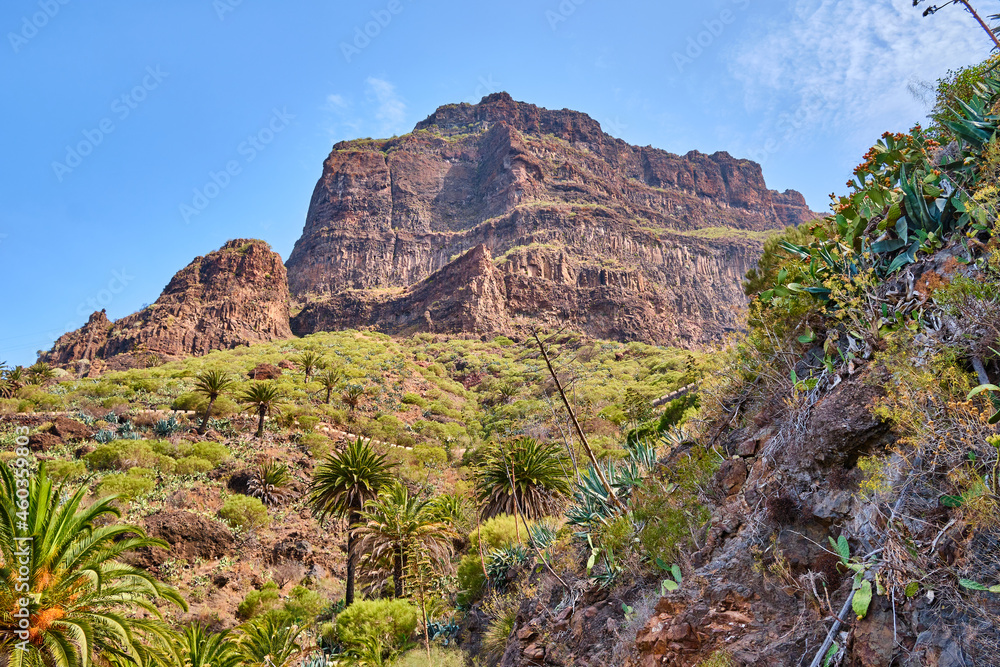 Masca the village the gorge in Teno Mountains on Tenerife the Canary Island Spain Masca the village the gorge in Teno Mountains on Tenerife the Canary Island Spain