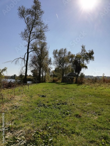 Wild river bank on a sunny autumn day