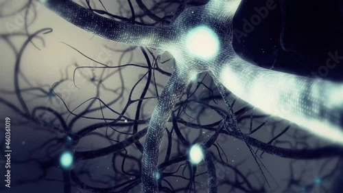 Real Neurone synapse network zoom out animation. Infinite Loop inside the human brain on ultra high definition.