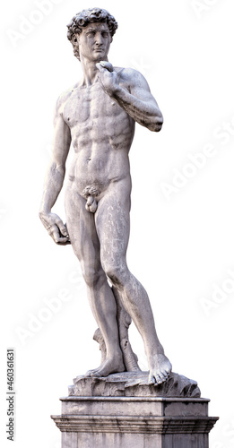 View of the David of Michelangelo isolated