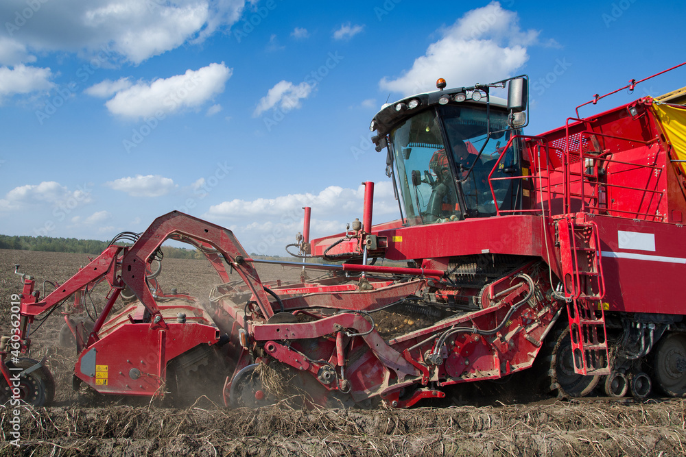 Obraz premium potato harvester machine