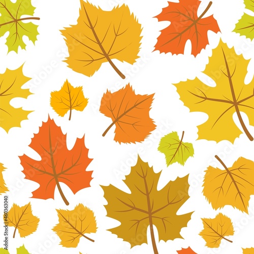 Orange Foliage. Seamless pattern with maple leaves. background. Isolated Vegetable illustration. Vector.