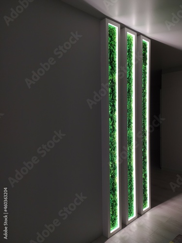 Generic concept image of decorative moss. Used for interior design, organic fresh living or office spaces, green living or presentations, brochures.