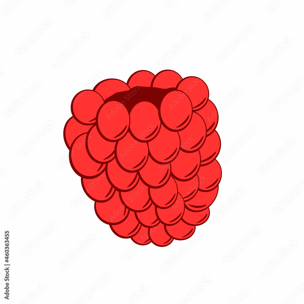Raspberry flat design, vector color illustration