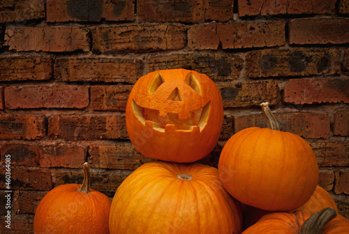 Pumpkin monster on a brick wall background. Happy halloween.
