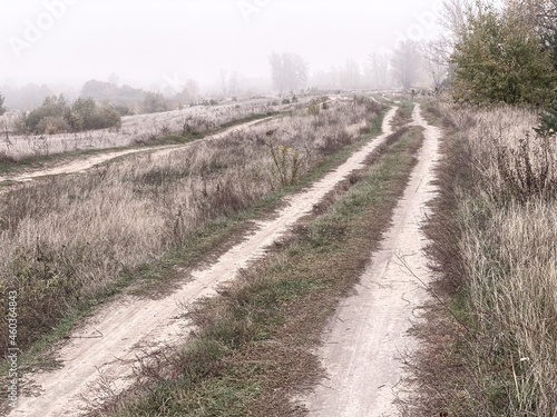 path in the field