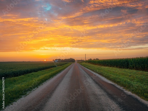 Sunrise over a farm road and corn fields, near Route 66 in Towanda, Illinois