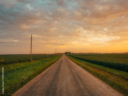 Fotografie, Obraz Sunrise over a farm road and corn fields, near Route 66 in Towanda, Illinois