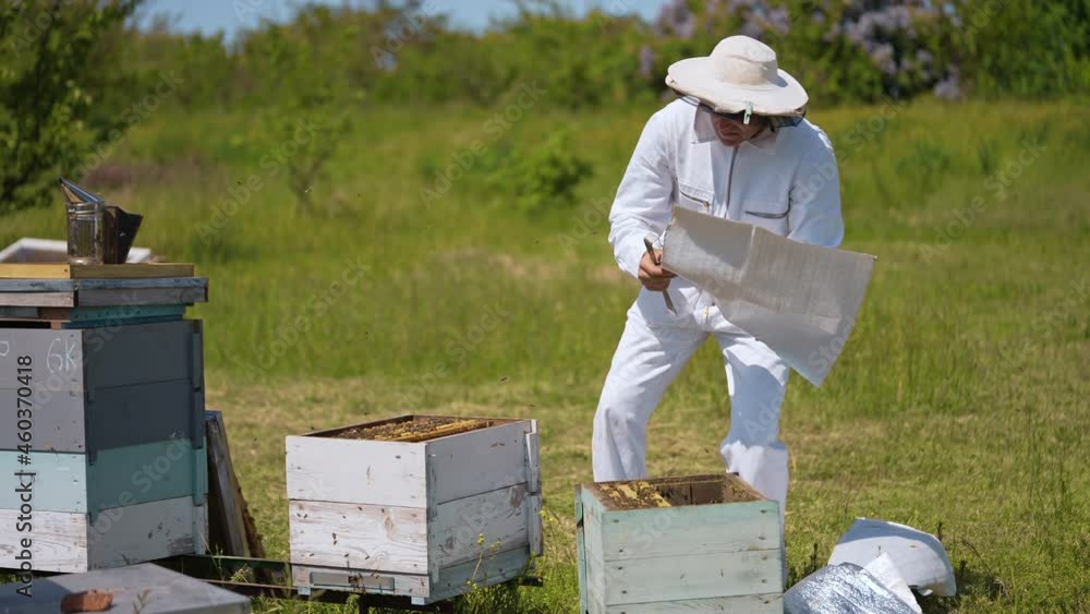Bee farmer working with beehives. Organic summer hive beekeeping. Bee farmer working with beehives. Organic summer hive beekeeping.