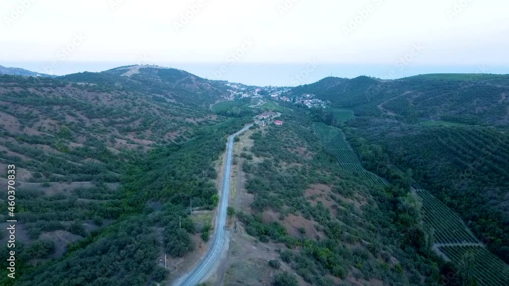 Vineyard in Crimea from a quadcopter vine plantation green grape autumn. Village bright road, winery Scenery. Vineyard in Crimea from a quadcopter vine plantation green grape autumn. Village bright road, winery Scenery.