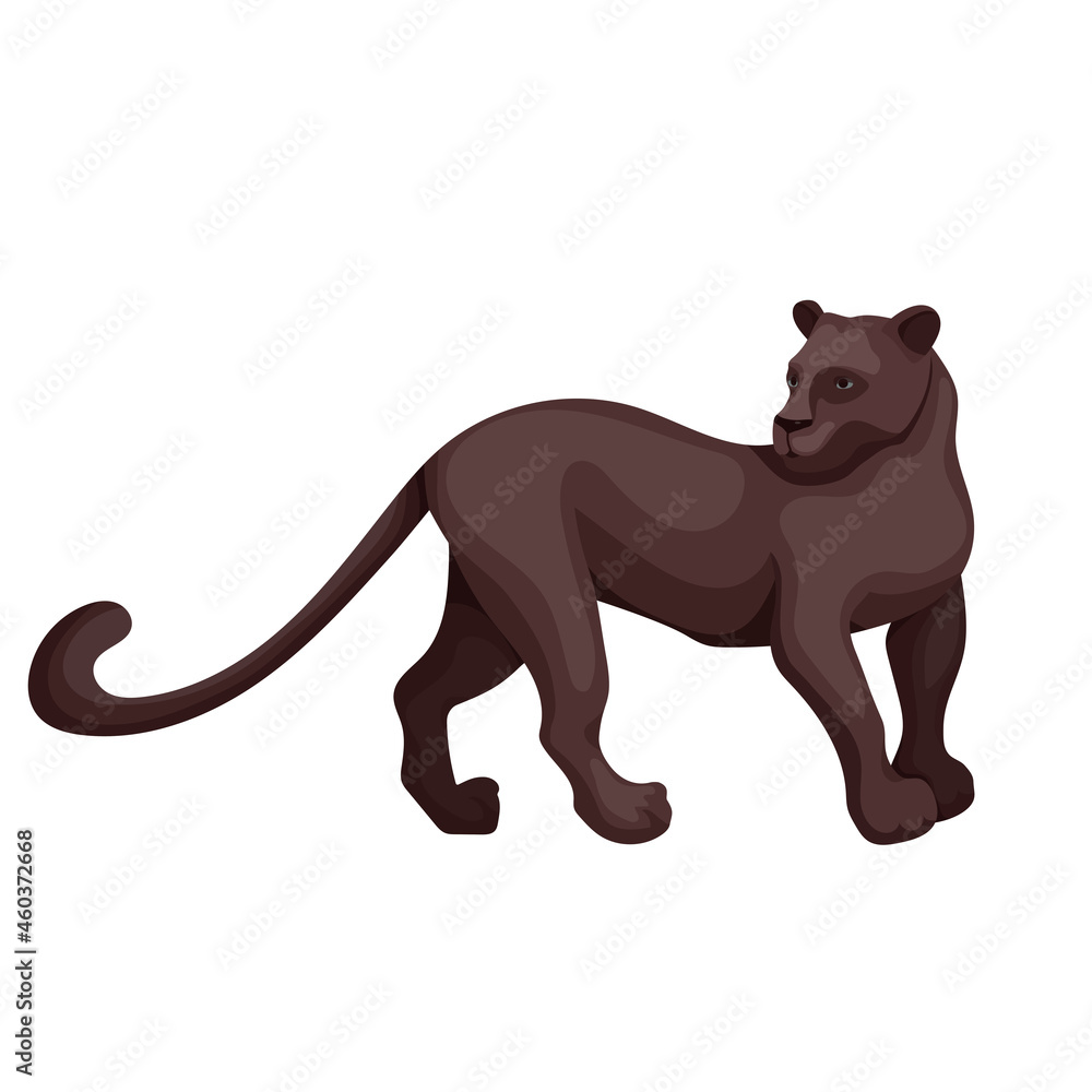Panther, a wild feline. Cartoon vector graphics.
