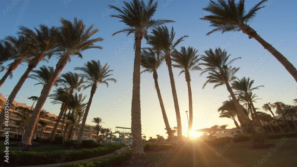 Palm Trees Against Sky During Sunset Palm Trees Against Sky During Sunset
