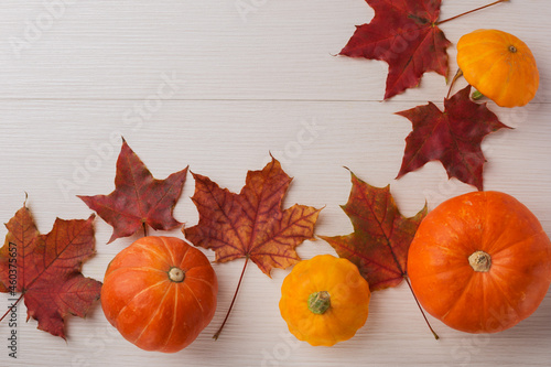Autumn composition from pumpkins, maple leaves, squash on a white wooden background. Concept of Thanksgiving day. Fall time. Space for copy.