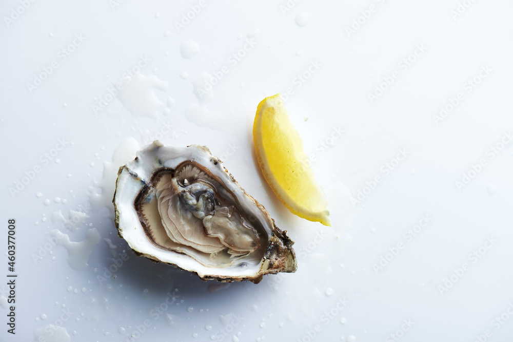 Oyster with lemon on a white background
