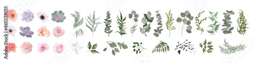 Vector set of flowers and herbs. Pink roses  various plants  leaves  grass. Collection of greenery  eucalyptus.