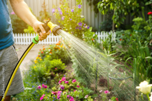 A gardener with a watering hose and a sprayer water the flowers in the garden on a summer sunny day. Sprinkler hose for irrigation plants. Gardening, growing and flower care concept. Selective focus photo