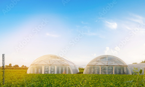 Greenhouses in the field for seedlings of crops, fruits and vegetables. Farmlands. Farming and agriculture. Countryside. Selective focus