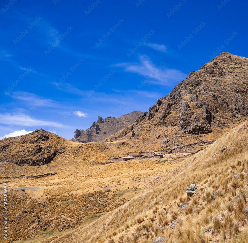 some people live in the middle of the Andes to raise sheep dedicate themselves to livestock some people live in the middle of the Andes to raise sheep dedicate themselves to livestock