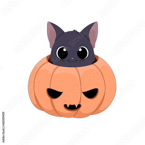 Słodki czarny kot chowający się w wydrążonej dyni. Halloween. Cukierek albo psikus! Uroczy ręcznie rysowany mały kotek. Ilustracja wektorowa.