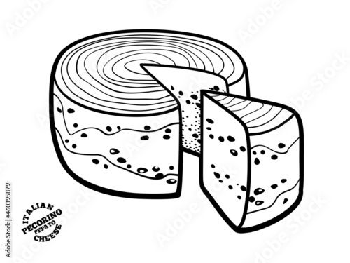 Pecorino pepato italian cheese.. Outline illustrationin doodle style. photo